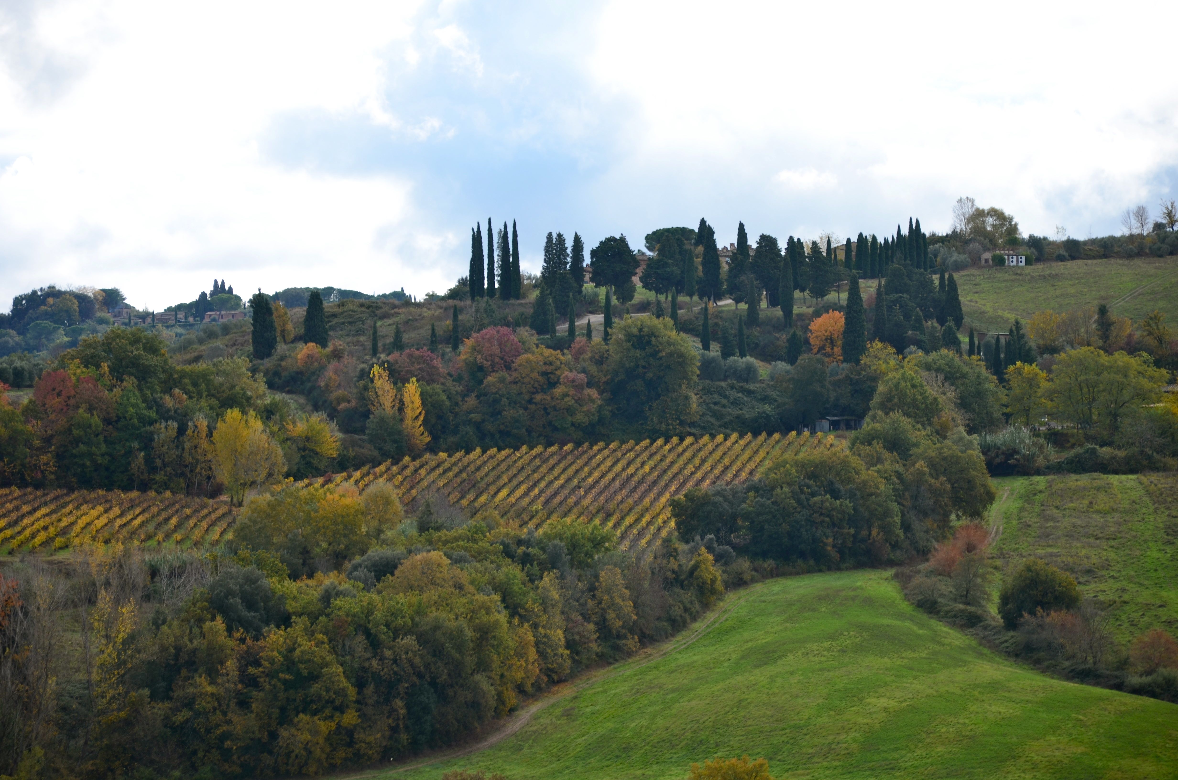 Picture 2 VF article