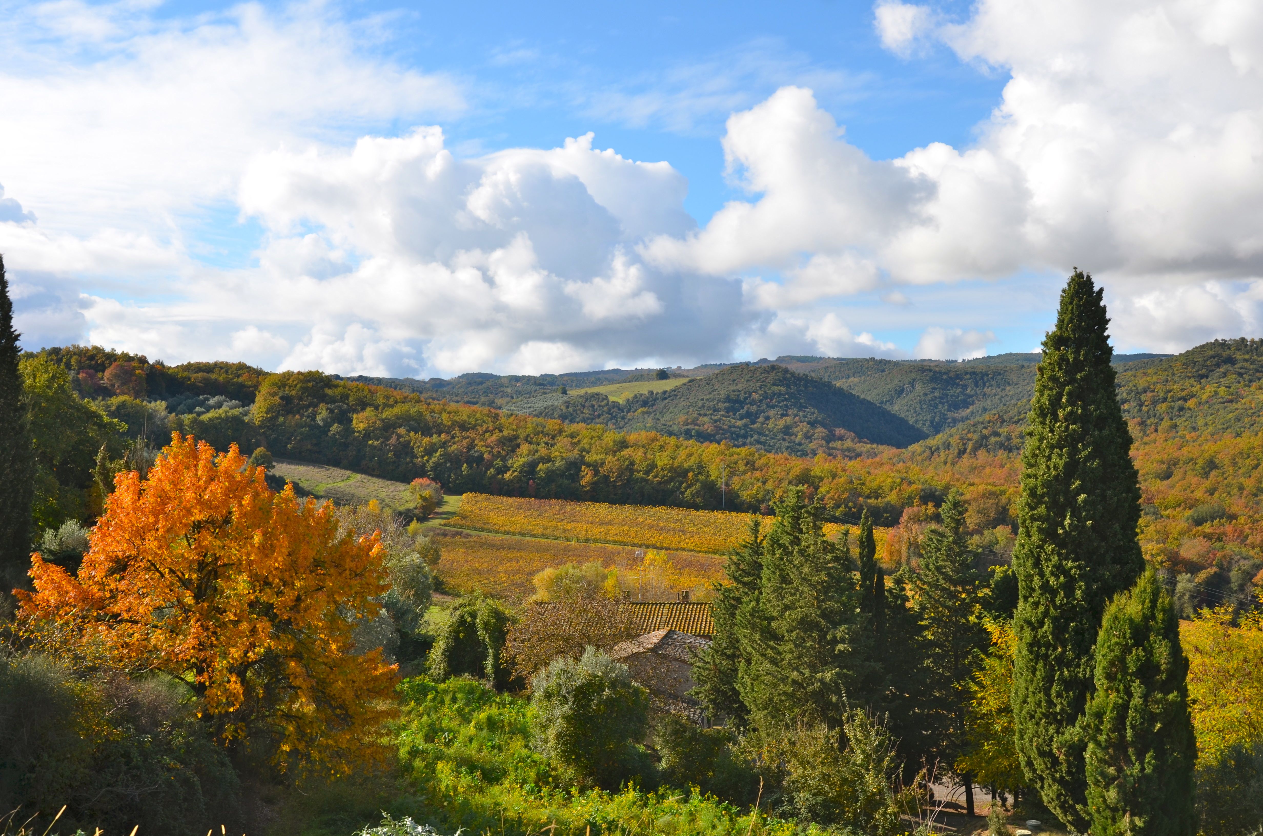 Picture 3 VF article