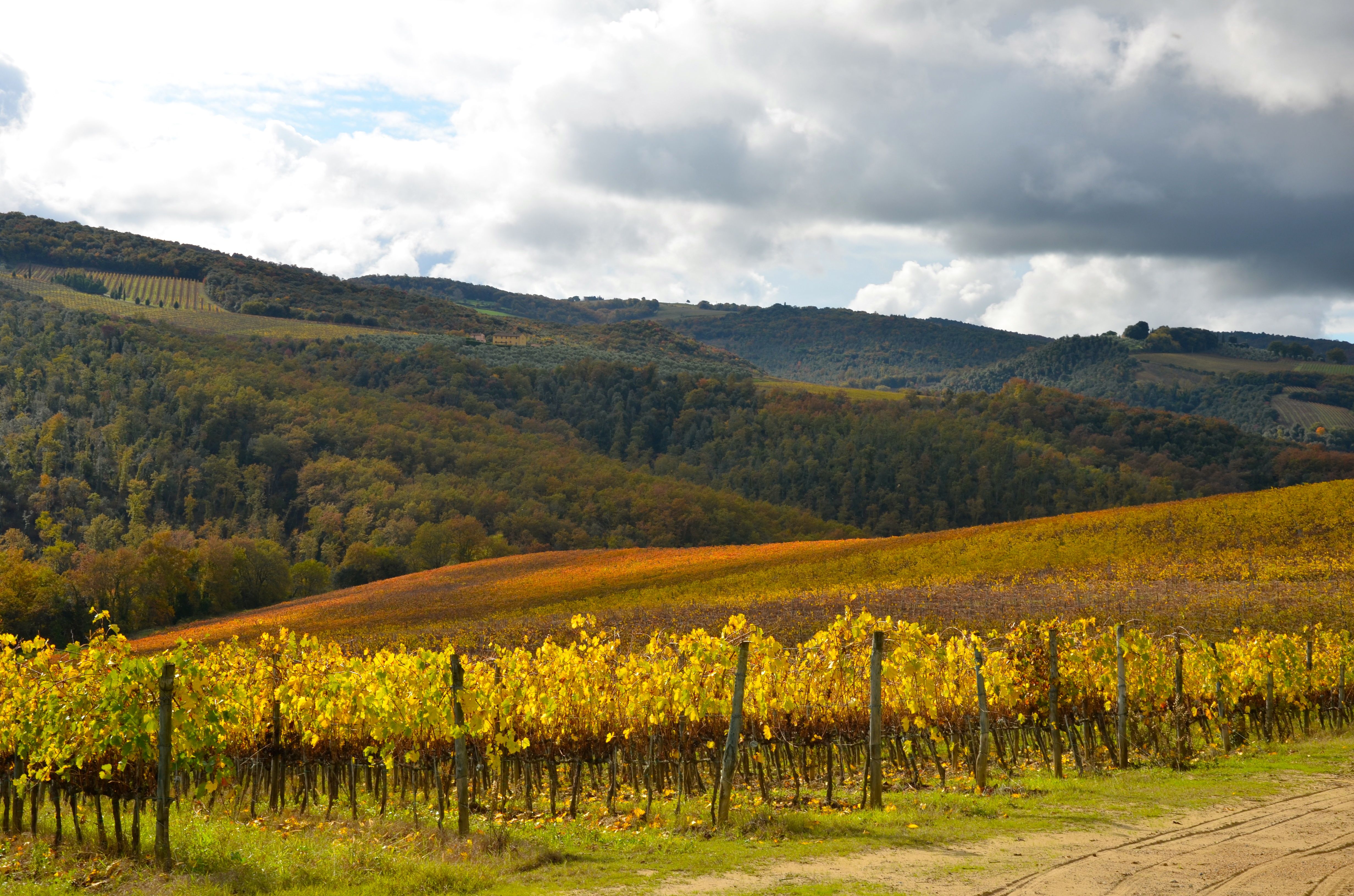 Picture 4 VF article